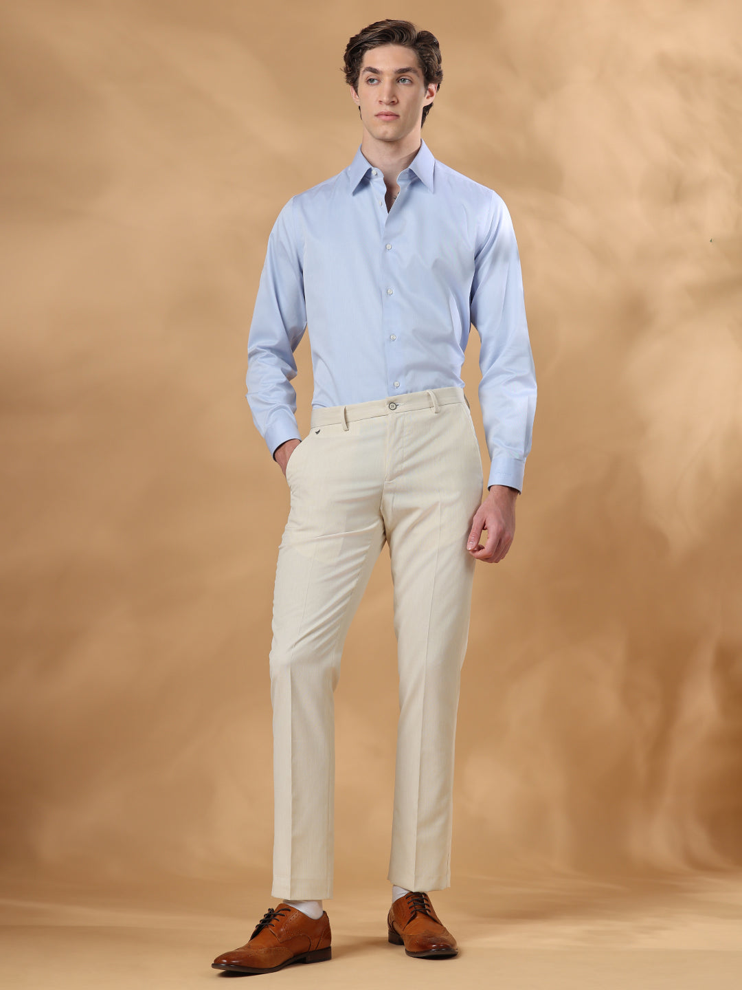 Blue Regular Fit Solid Formal Cotton Non-Iron Shirt for Men (NELIS)