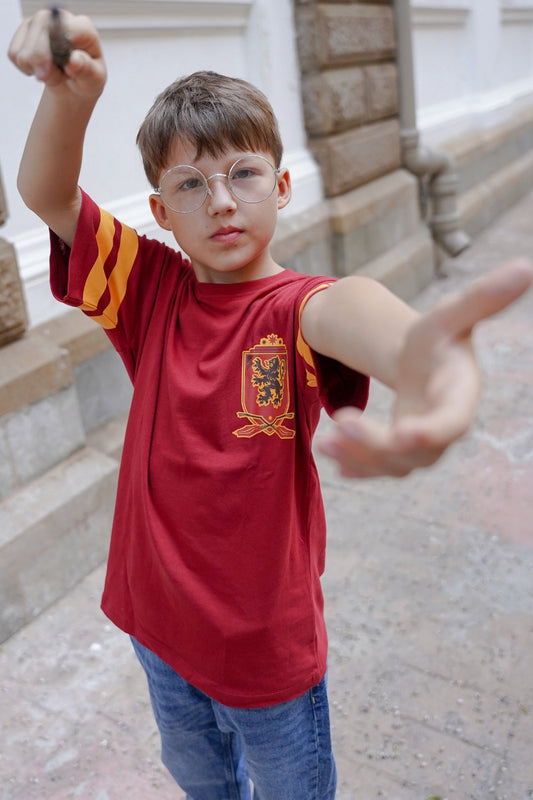 Quidditch 07 Harry Potter T-Shirt Nap Chief