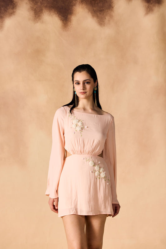 Floral Vine 3D Embroidered Short Dress