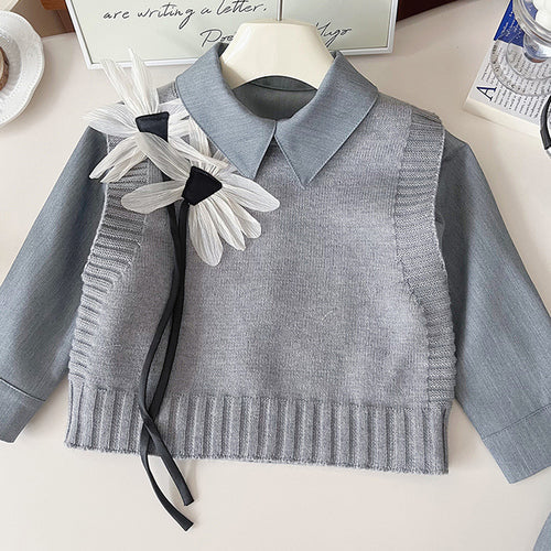 Grey Dragonfly 3pcs, Skirt and Top Winterwear for Girls