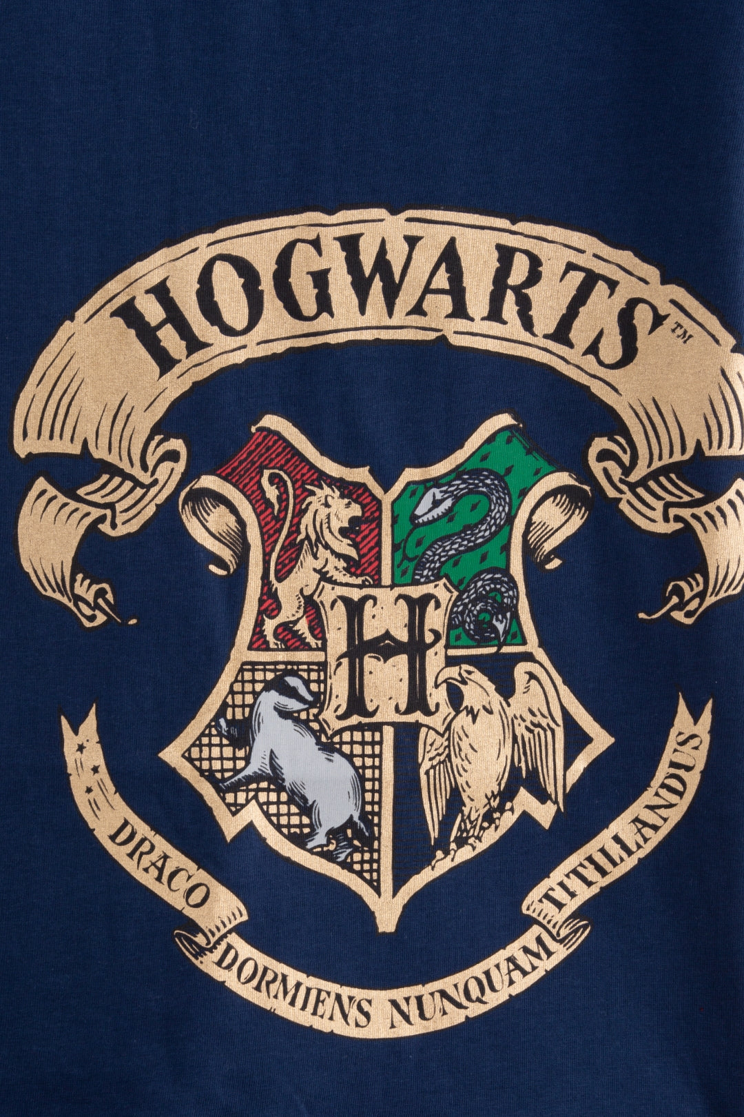 Harry Potter Dumbledore's Army Dress Nap Chief