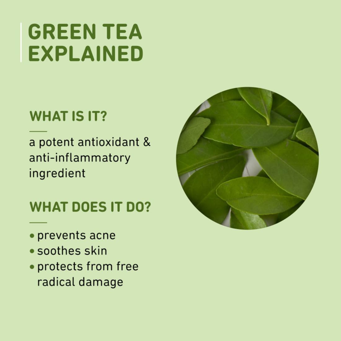 Plum Green Tea Renewed Clarity Night Gel 15 MILLI_LITRE