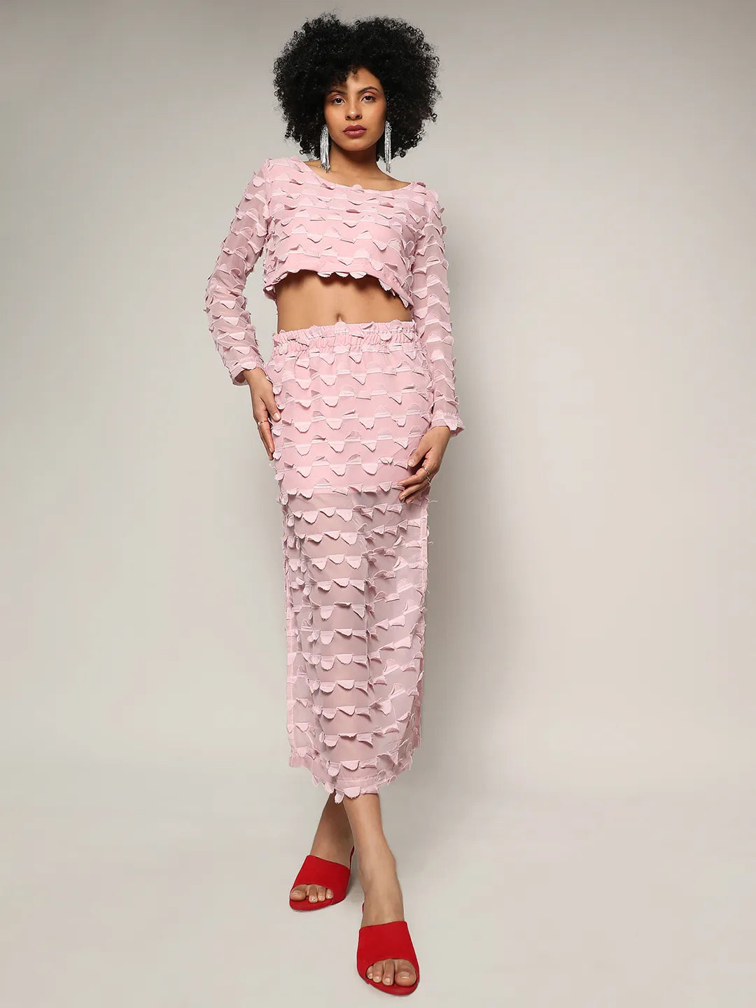 Blush Pink Sheer Applique Co-Ord Set With Slit