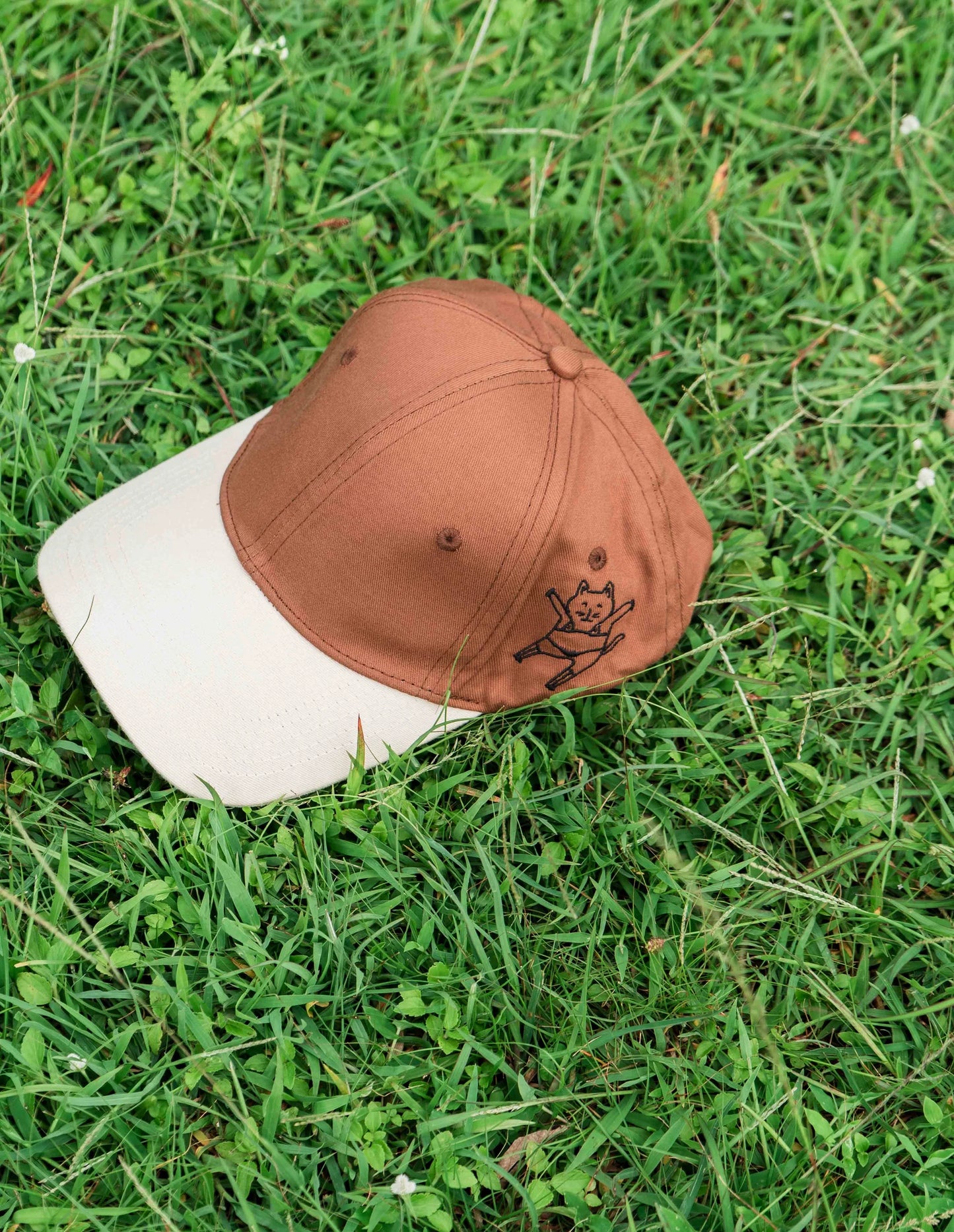 Brown & Beige Cap