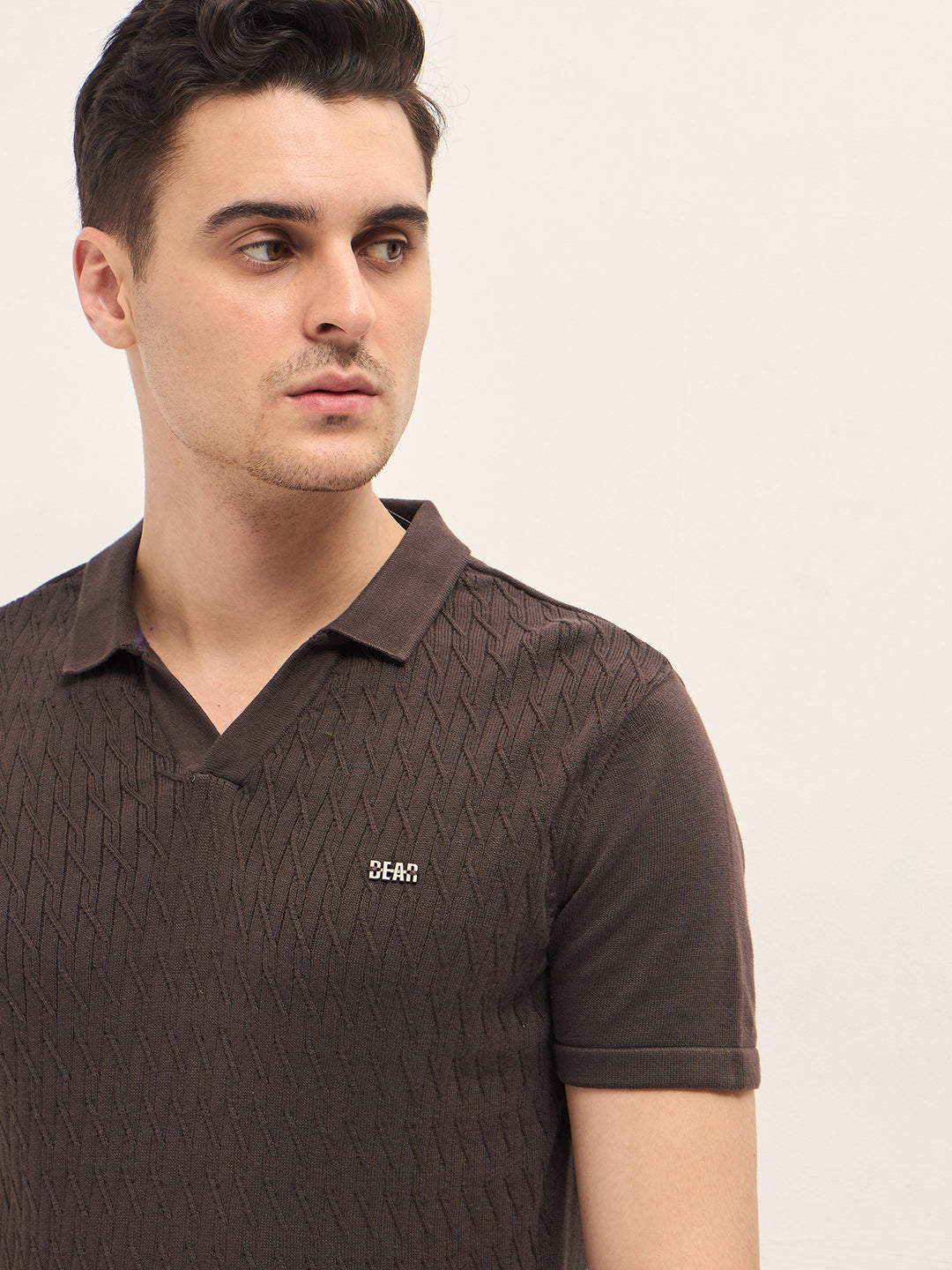Brown Diagonal Knit Texture Regular Fit Polo