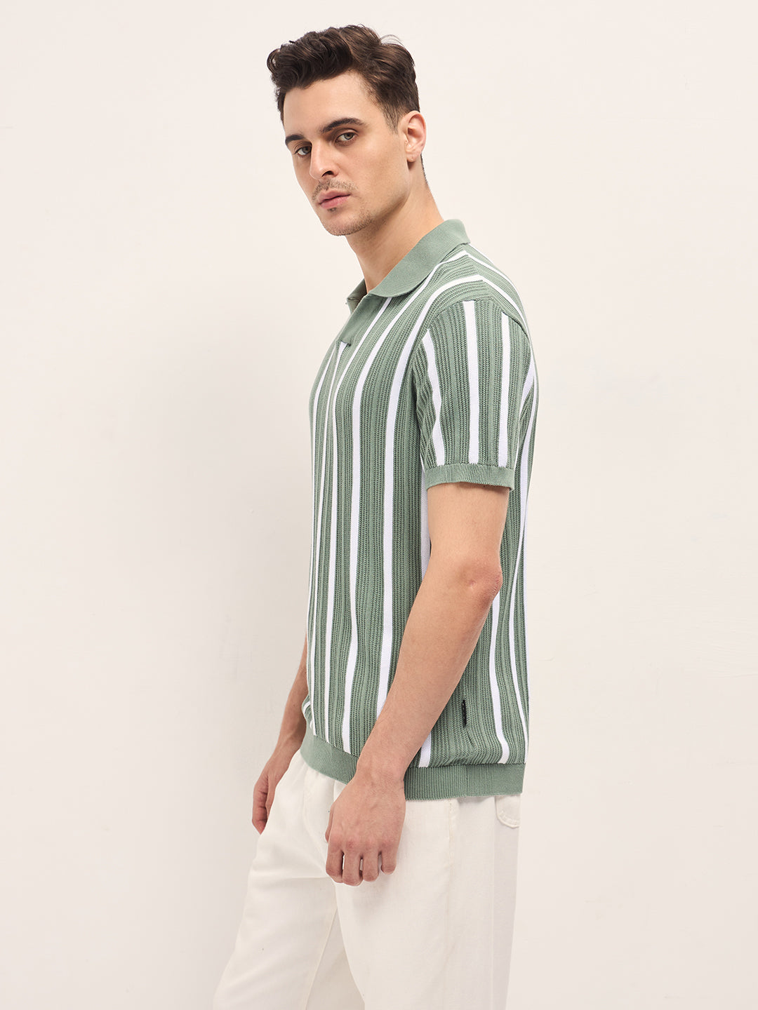 Green Textured Vertical Stripes Regular Fit Polo