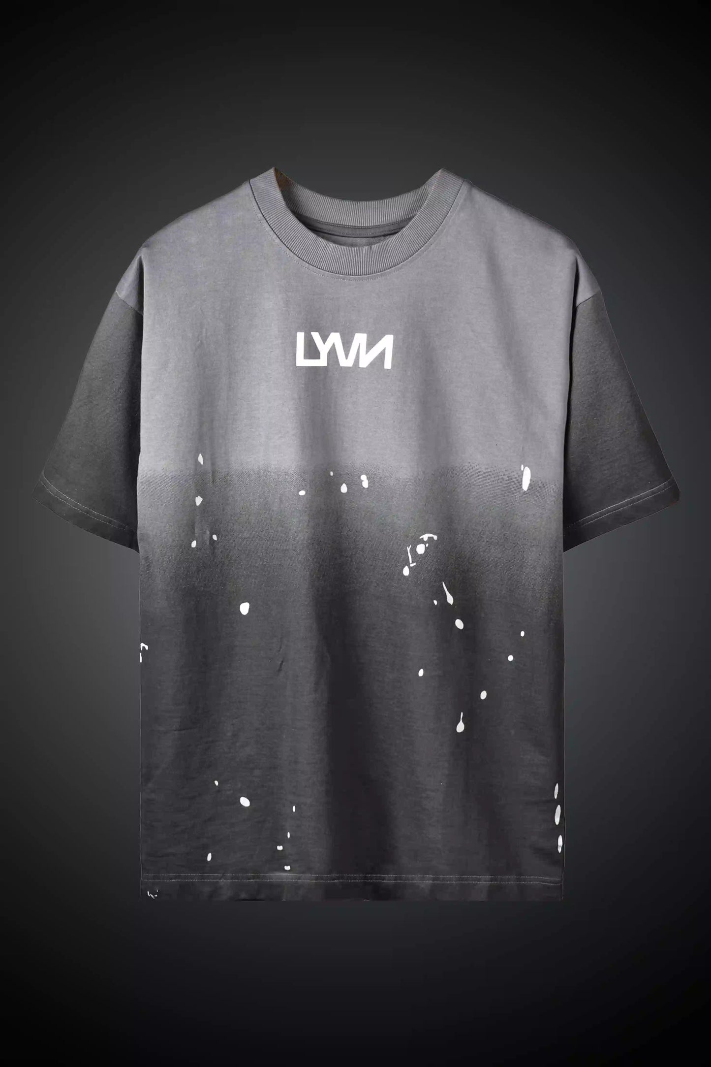 Grey Spider Unisex Oversized T-shirt
