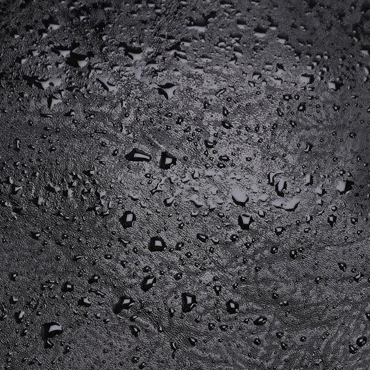 The Companion Backpack - Onyx Black