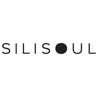 Silisoul