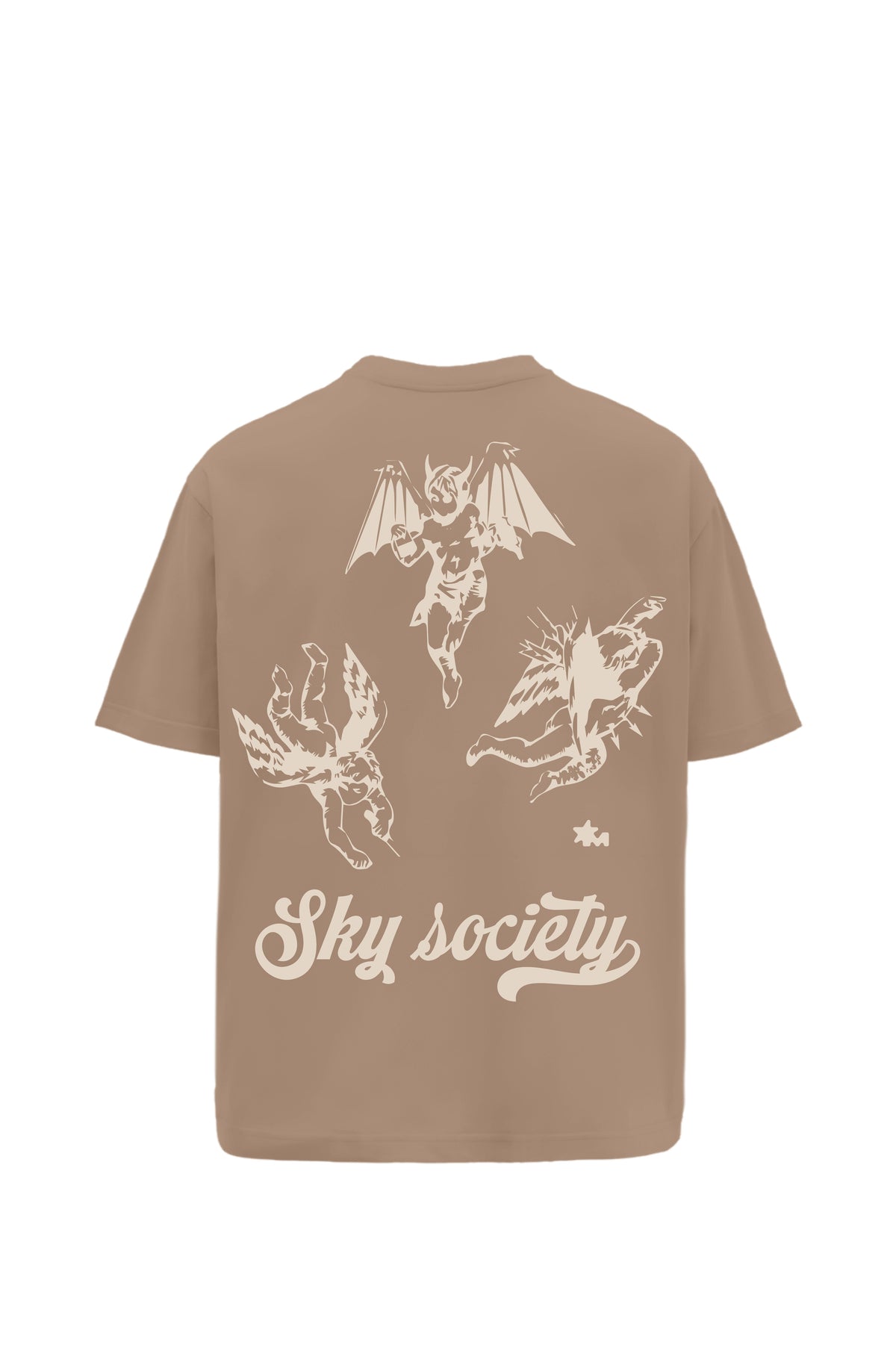 Sky Society Printed Oversized Brown T-Shirt Main Character