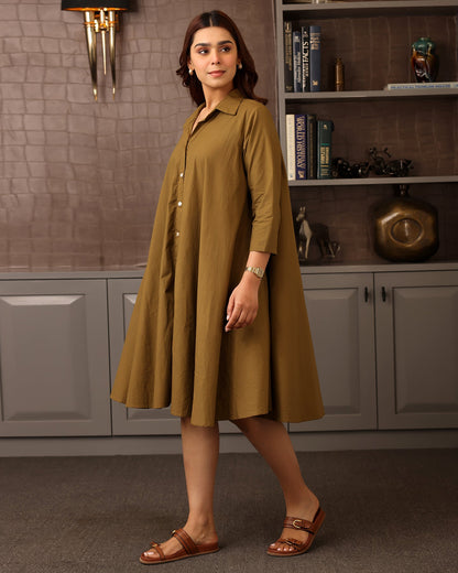 Basic Brown Poplin Shirt Dress