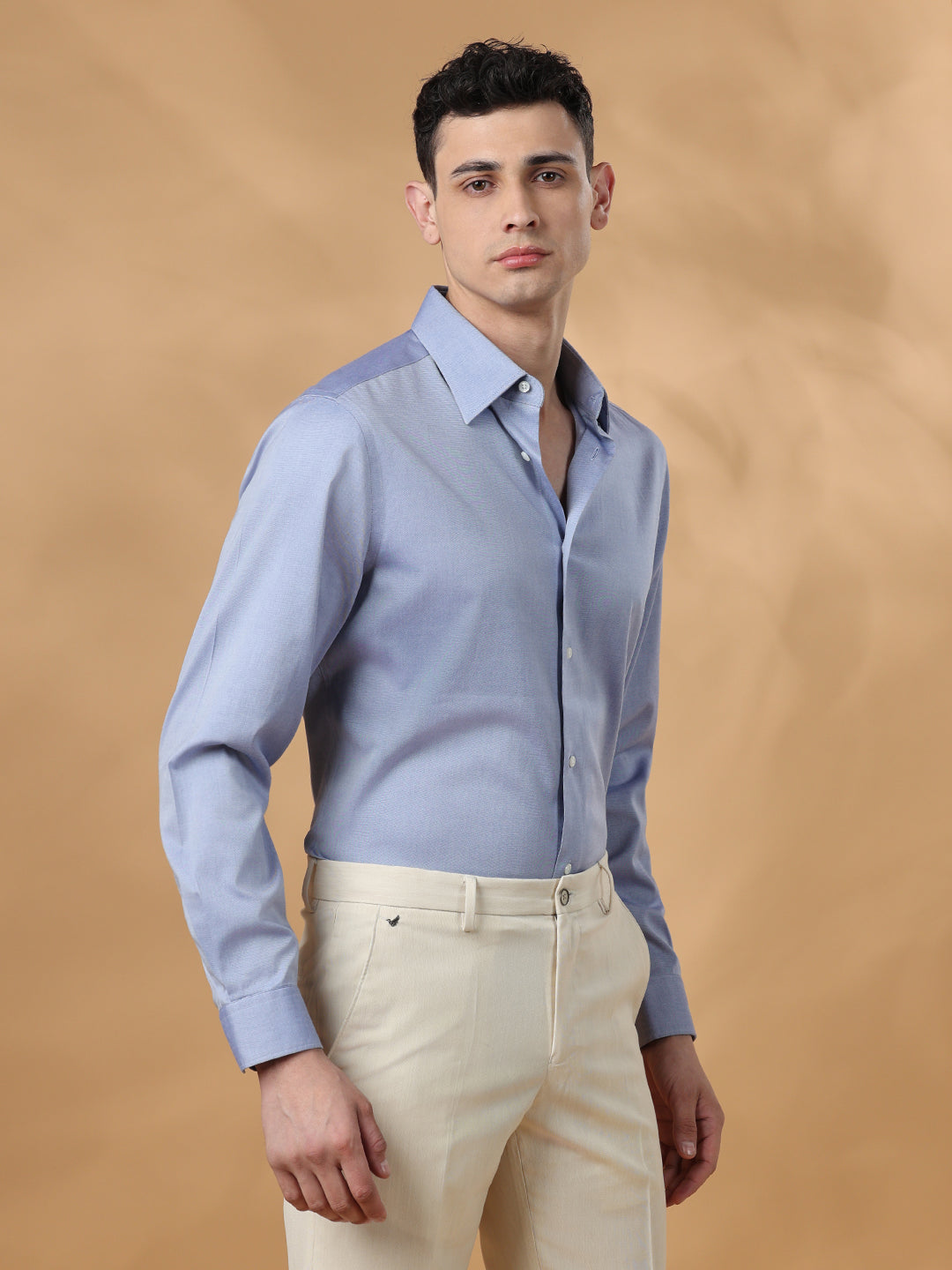 Violet Regular Fit Solid Formal Cotton Non-Iron Shirt for Men (NEGRI)