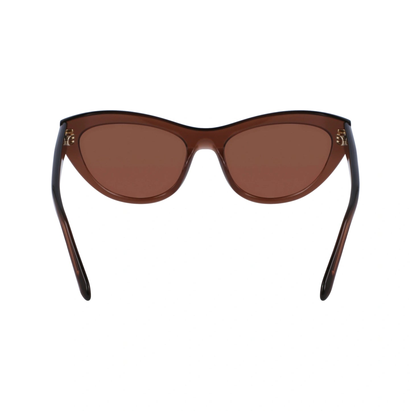 Salvatore Ferragamo Transparent Brown Cat Eye Full Rim Sunglasses