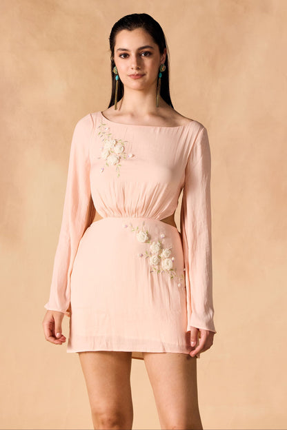 Floral Vine 3D Embroidered Short Dress