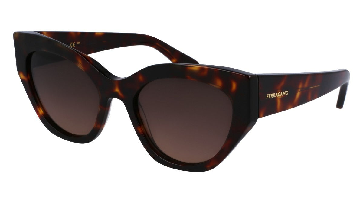 Salvatore Ferragamo Dark Tortoise Woman Sunglasses