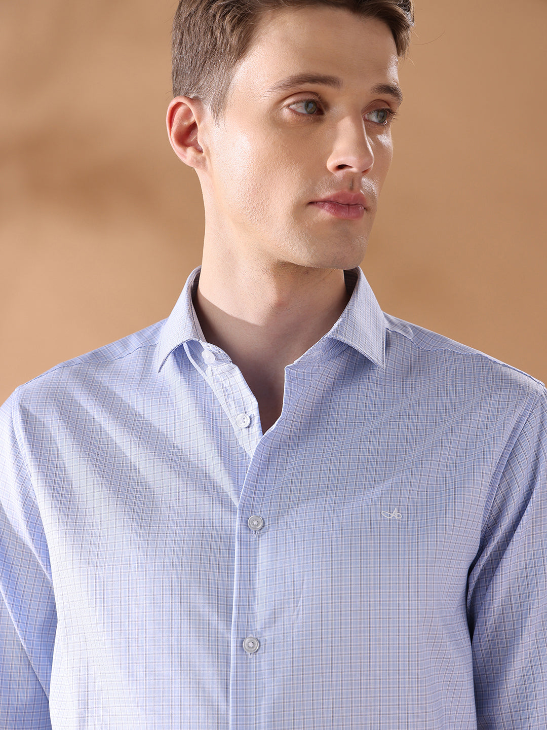 Blue Regular Fit Checked Formal Shirt for Men (CARLA)