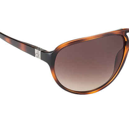 Calvin Klein Tortoise Full Rim Aviator