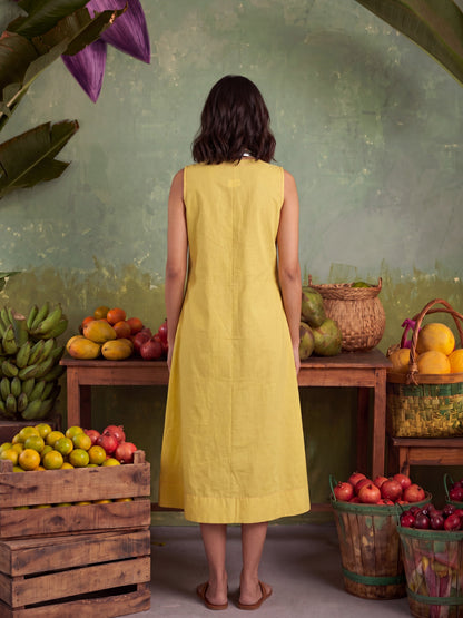 SAFFRON PETAL MIDI