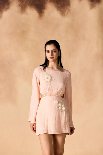 Floral Vine 3D Embroidered Short Dress