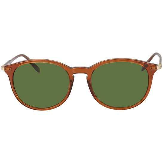 Salvatore Ferragamo Fashion Women's Brown wayfarer Round Sunglasses