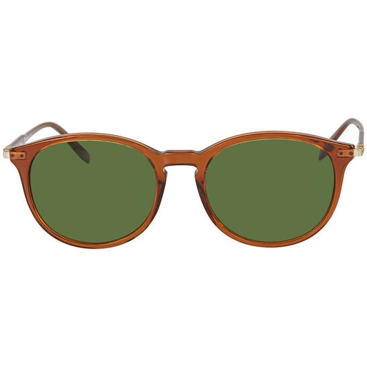 Salvatore Ferragamo Fashion Women's Brown wayfarer Round Sunglasses