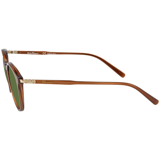 Salvatore Ferragamo Fashion Women's Brown wayfarer Round Sunglasses