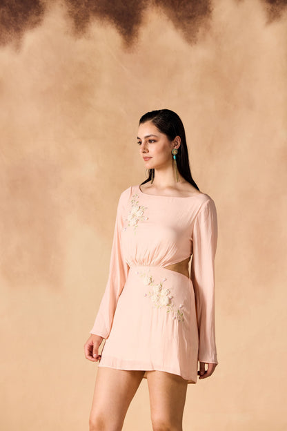 Floral Vine 3D Embroidered Short Dress