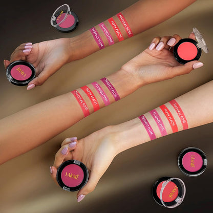 Lakme Face It Blush Perfect - Plum B3