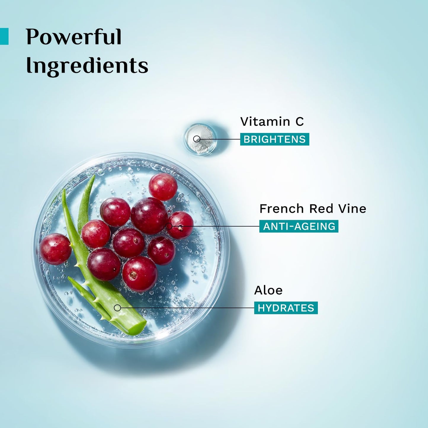 Pilgrim Red Vine Vitamin C & Aloe Face Wash 100 MILLI_LITRE