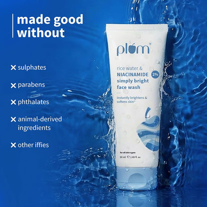 Plum Rice Water Face Wash 1 PIECE