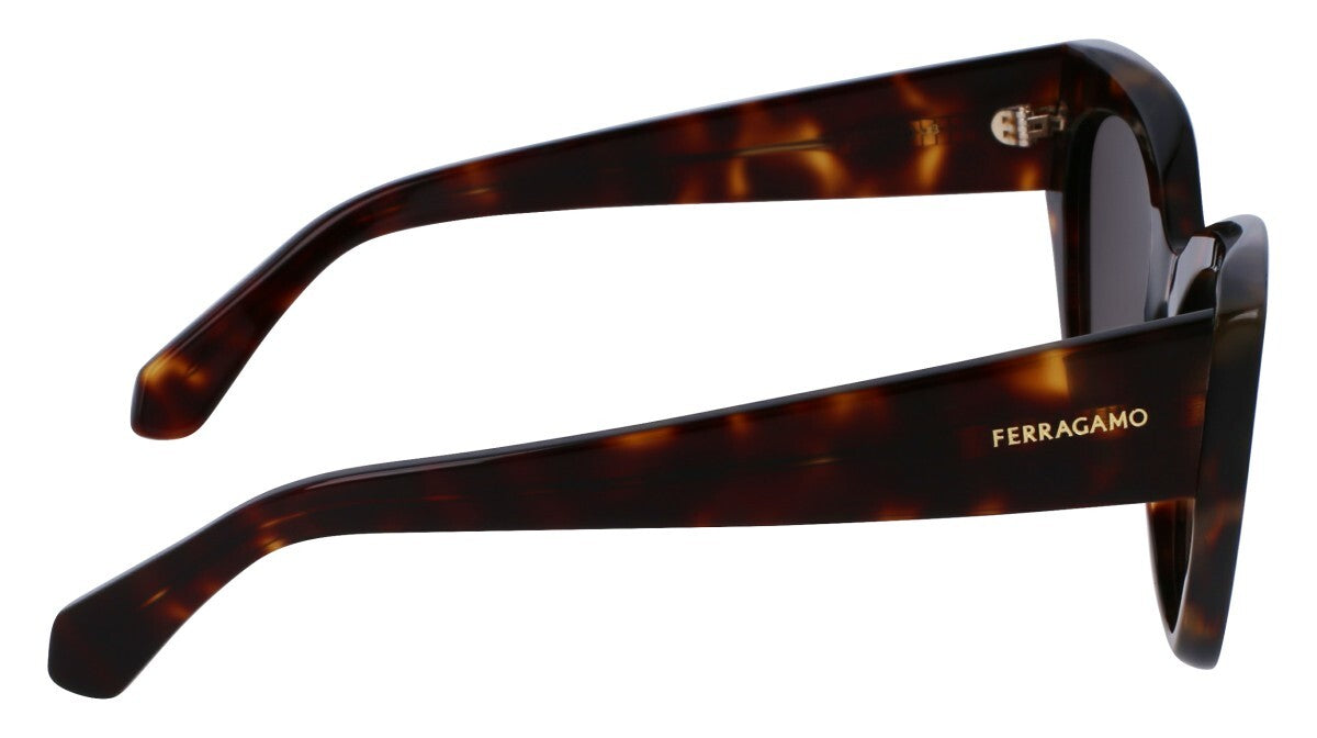 Salvatore Ferragamo Dark Tortoise Woman Sunglasses