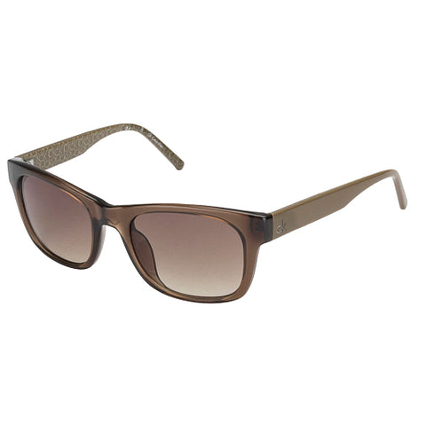 Calvin Klein Brown Transparent Full Rim Square Sunglasses