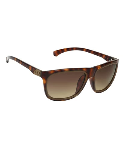 Calvin Klein Wayfarer Full-Rim UV-Protected Square Sunglasses (Brown)