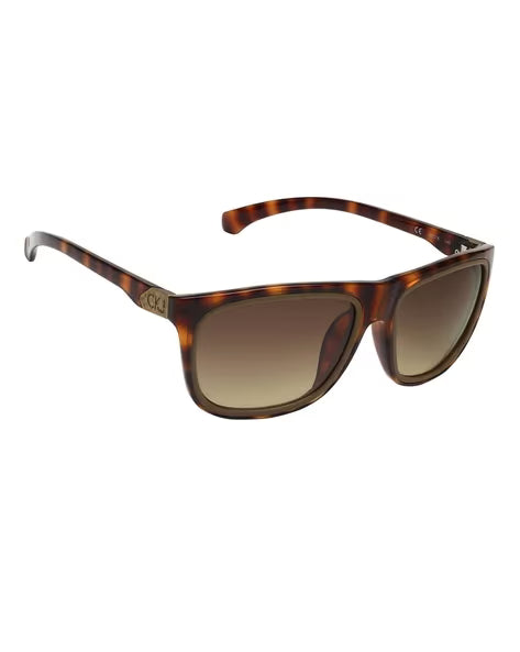 Calvin Klein Wayfarer Full-Rim UV-Protected Square Sunglasses (Brown)