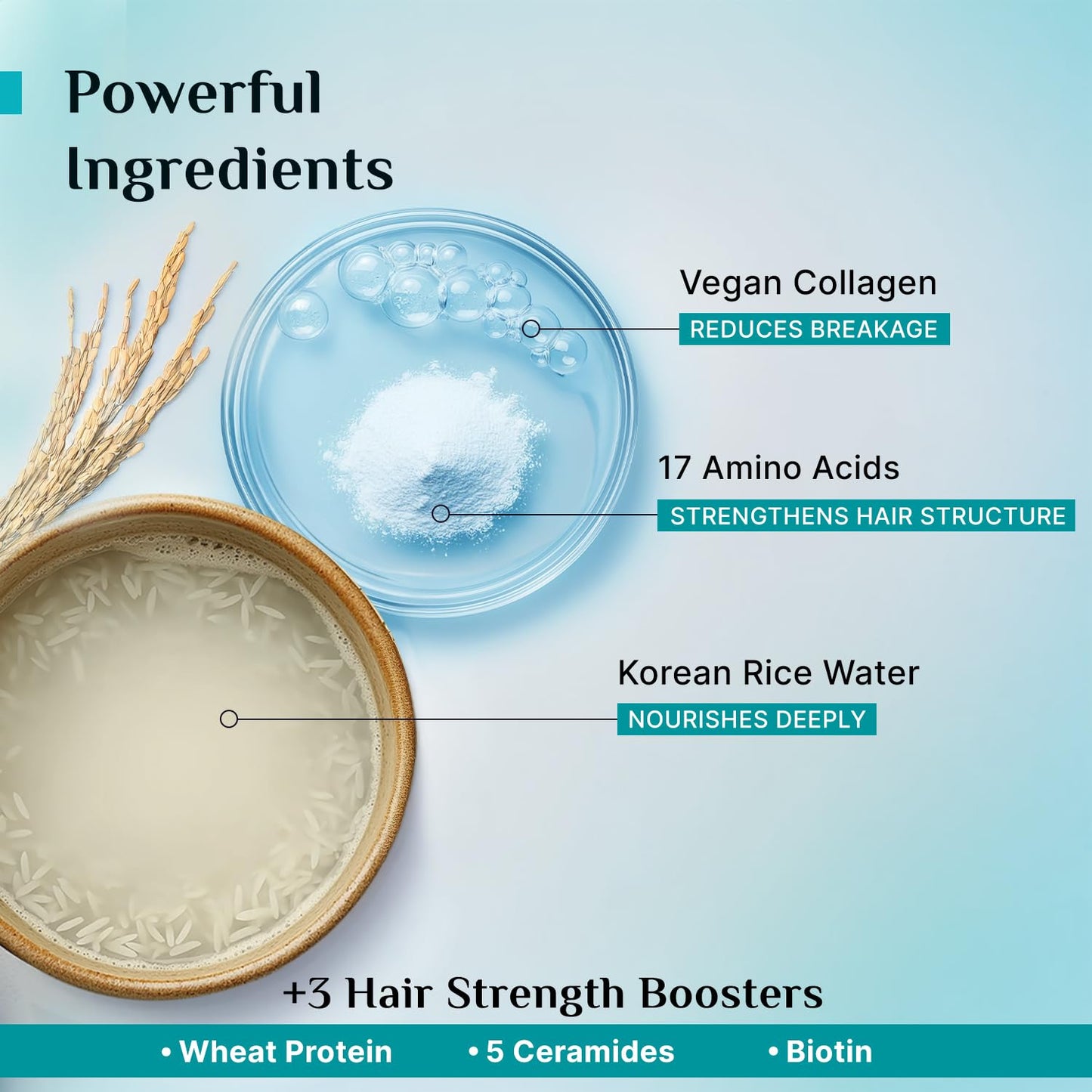 pilgrim Korean Rice Water & Collagen Advanced Damage Repair Shampoo 200 MILLI_LITRE