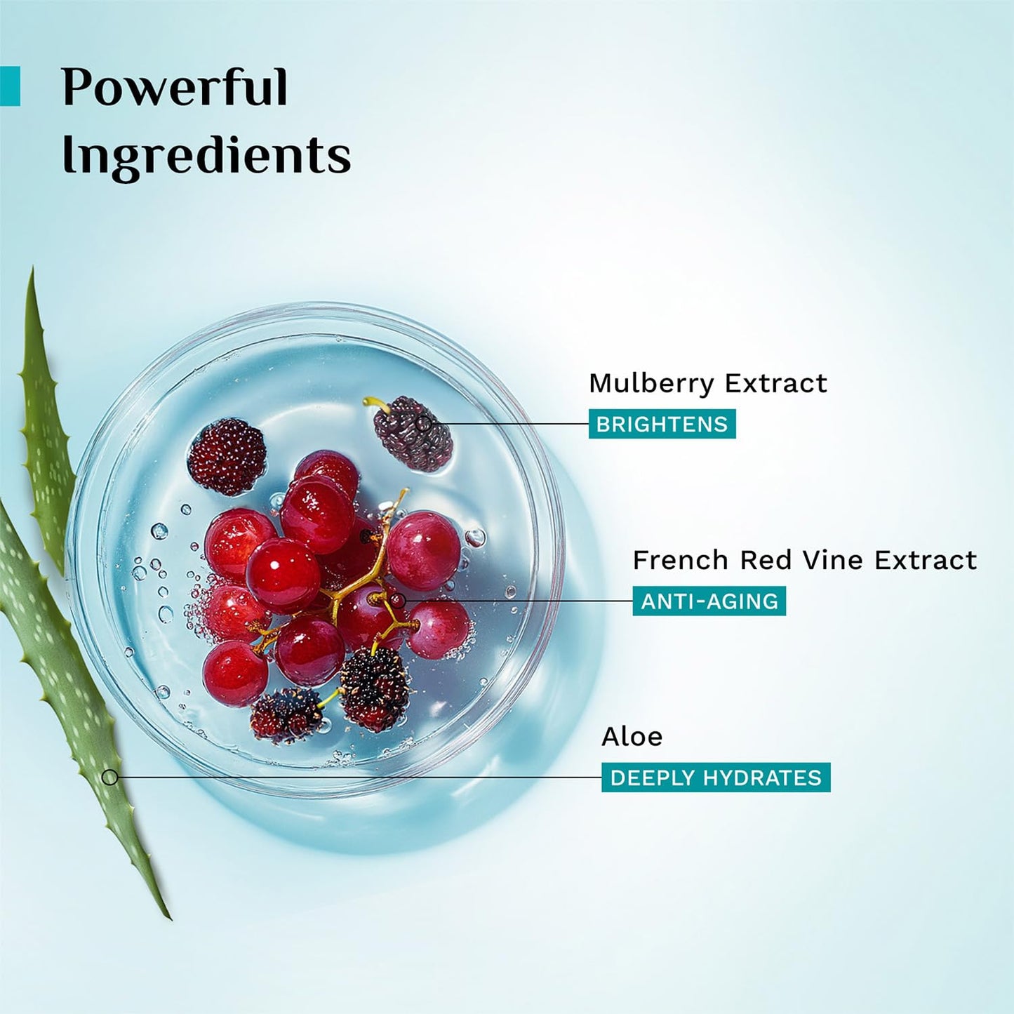 Pilgrim Red Vine Mulberry & Aloe Face Scrub 50 GRAM