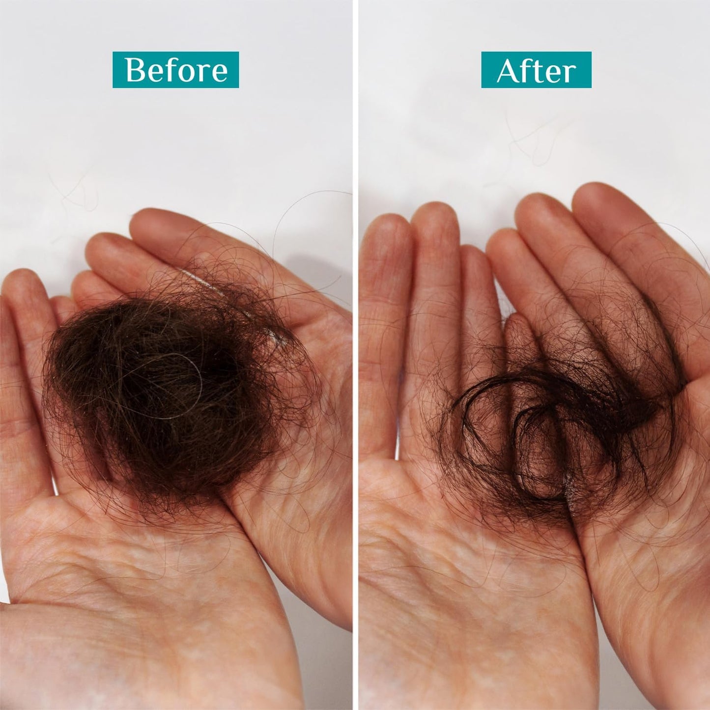 Pilgrim Spanish Rosemary & Biotin Anti-Hairfall Shampoo 200 MILLI_LITRE