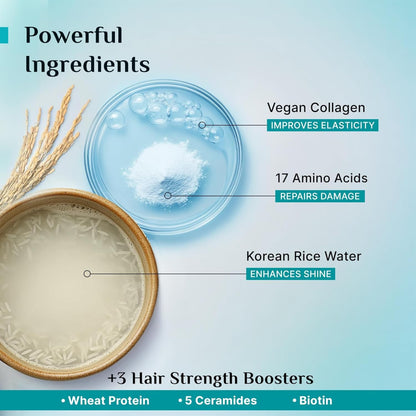 pilgrim Korean Rice Water & Collagen Advanced Damage Repair Conditioner 200 MILLI_LITRE