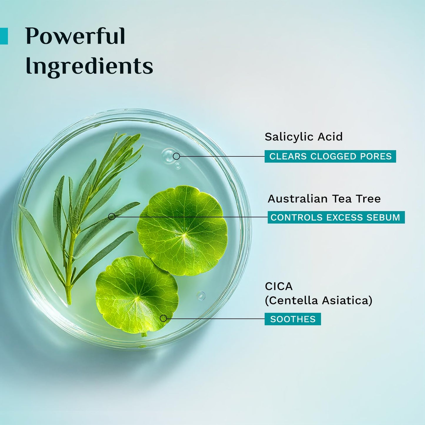 Pilgrim Tea Tree Purifying Gel Face Wash 100 MILLI_LITRE