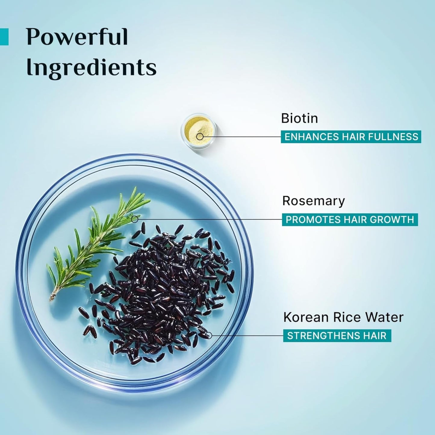 PILGRIM KOREAN RICE ROSEMARY WATER