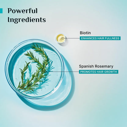 Pilgrim Spanish Rosemary & Biotin Anti-Hairfall Shampoo 200 MILLI_LITRE