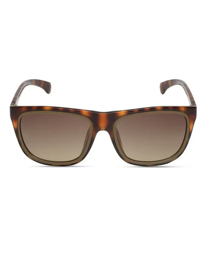 Calvin Klein Wayfarer Full-Rim UV-Protected Square Sunglasses (Brown)