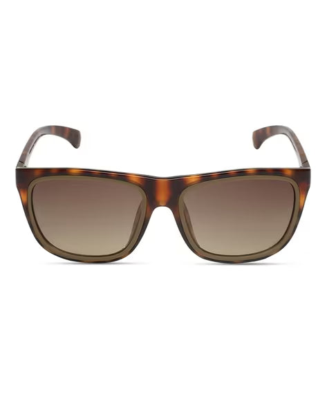 Calvin Klein Wayfarer Full-Rim UV-Protected Square Sunglasses (Brown)