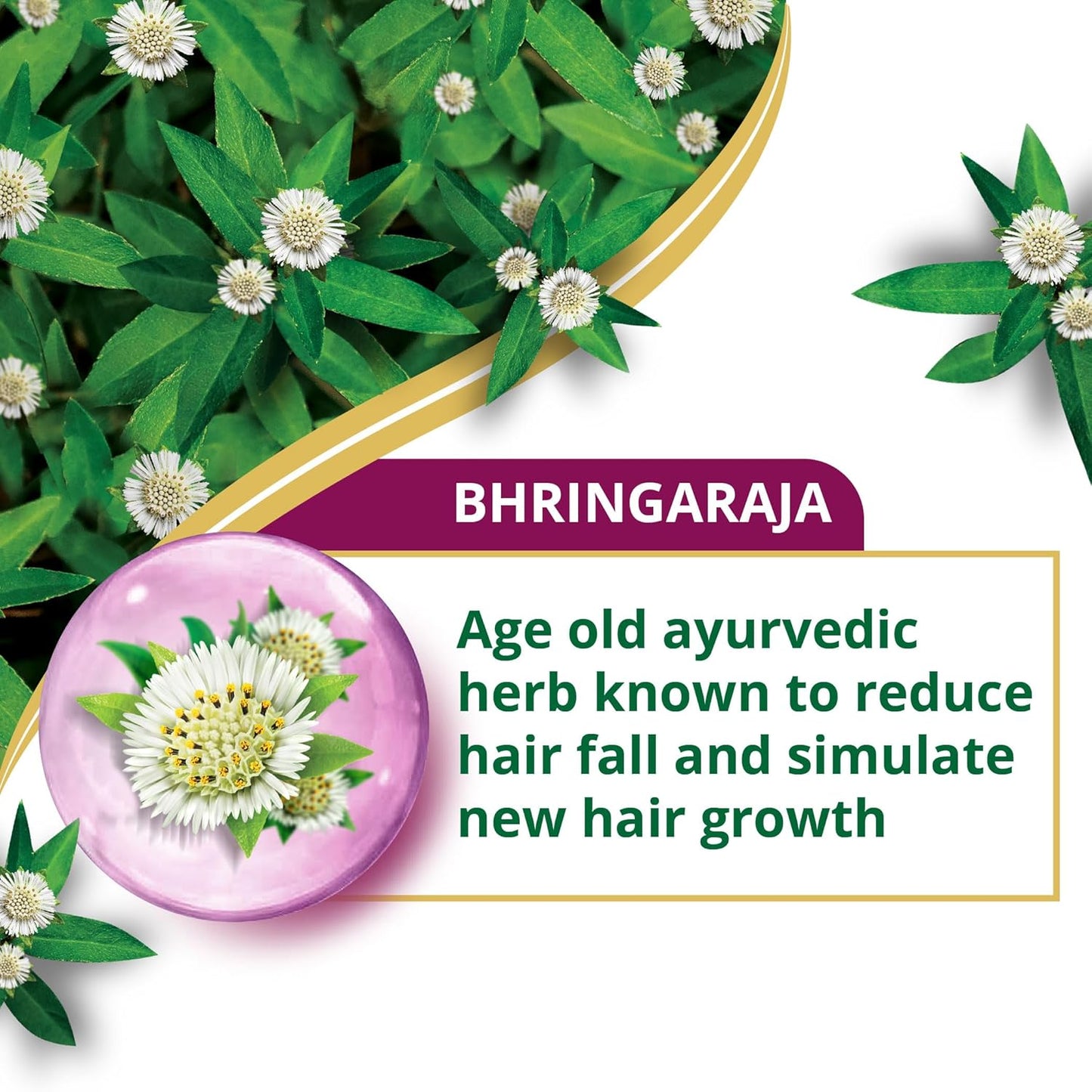Himalaya Anti-Hair Fall Bhringaraja Shampoo 180 ml