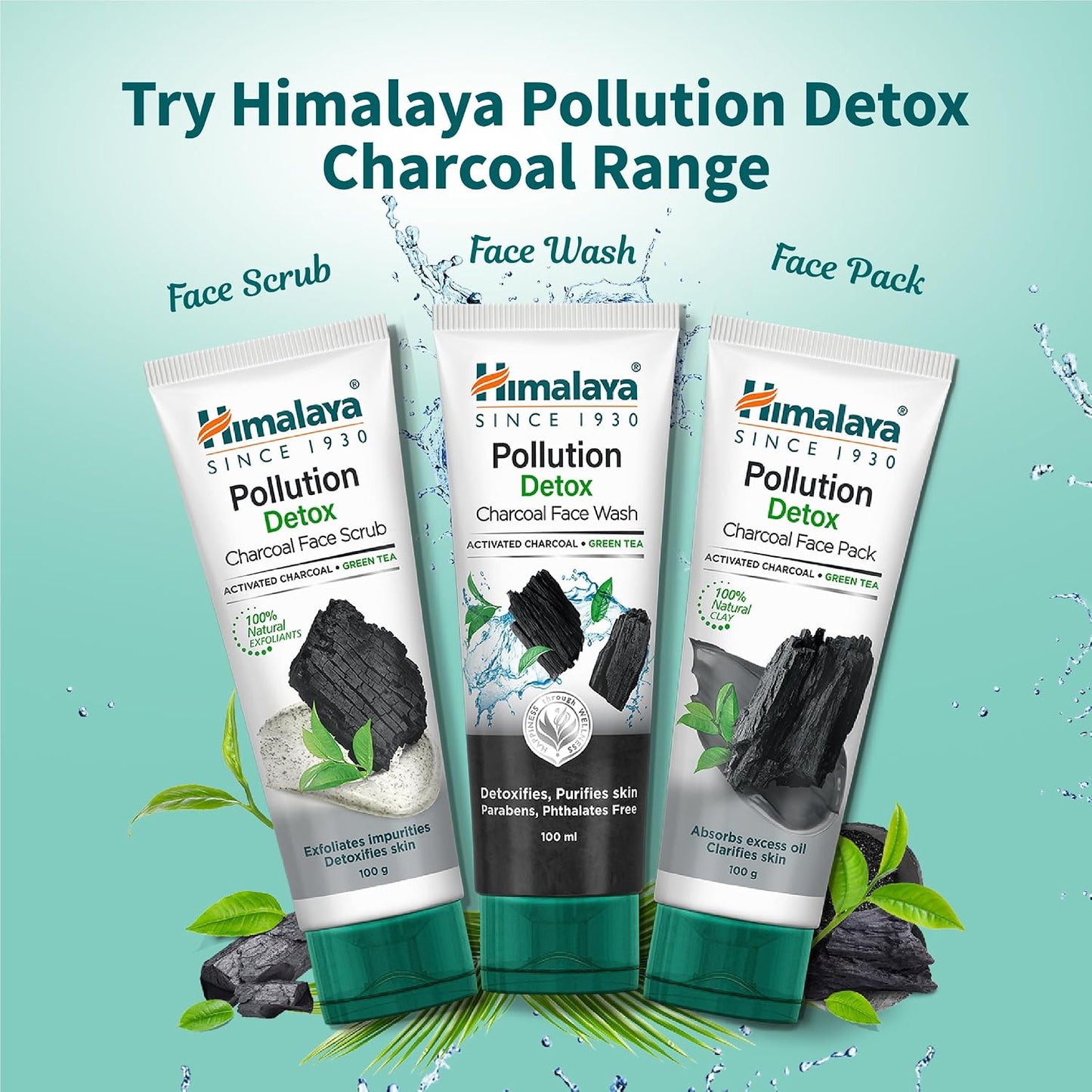 Himalaya Pollution Detox Charcoal Face Wash 100 ml