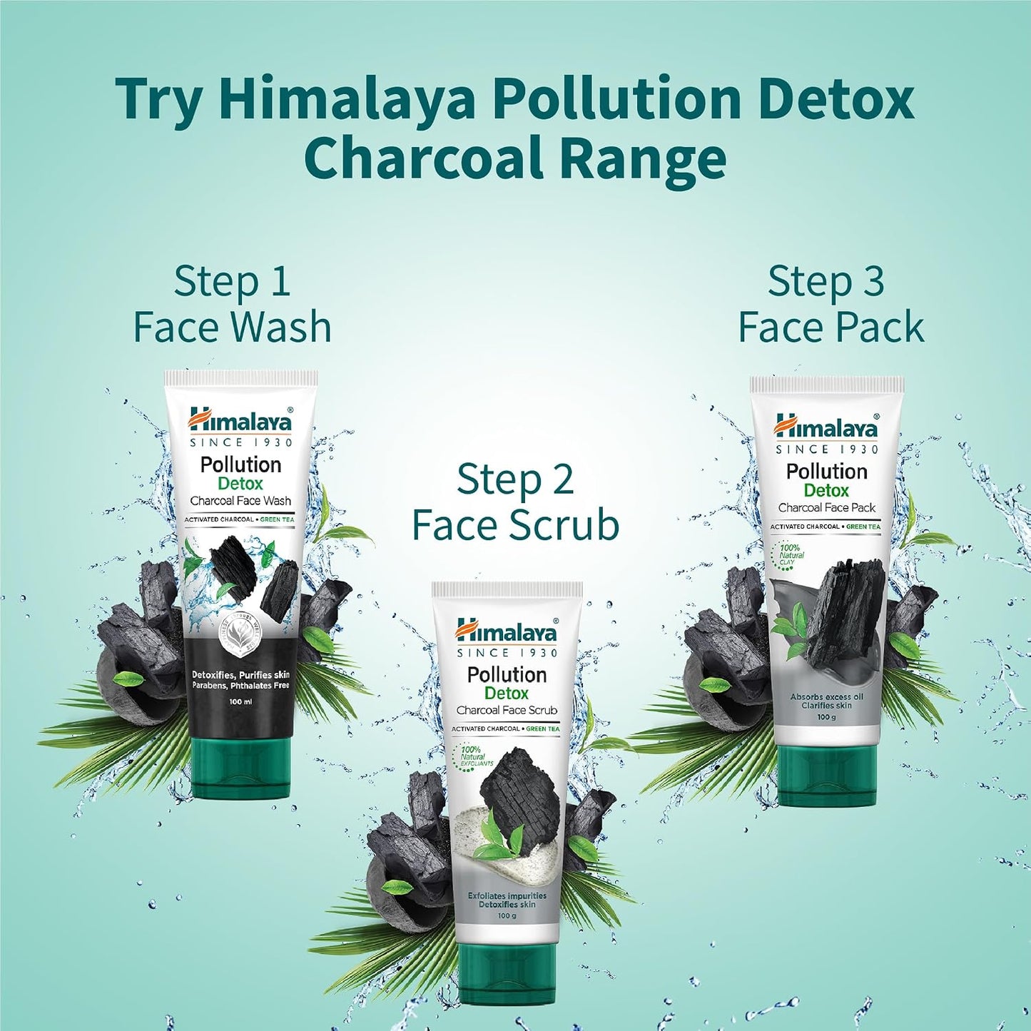 Himalaya Pollution Detox Charcoal Face Wash 100 ml