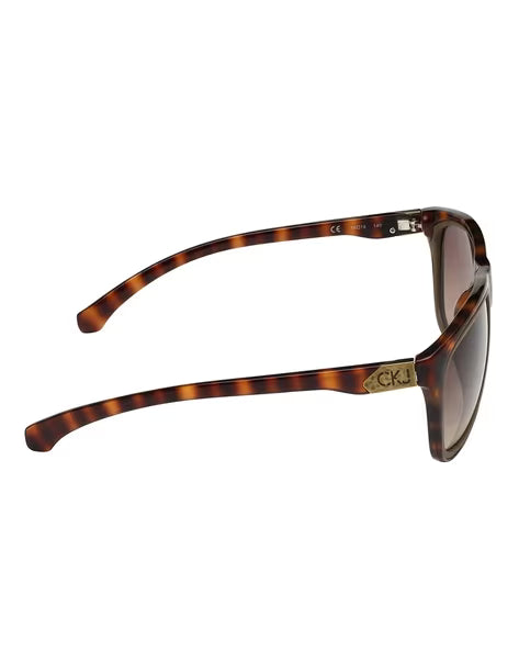 Calvin Klein Wayfarer Full-Rim UV-Protected Square Sunglasses (Brown)