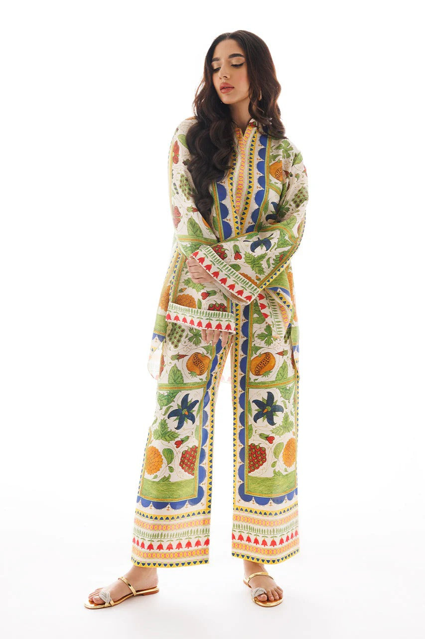 Aira Elegant Co-ord Set