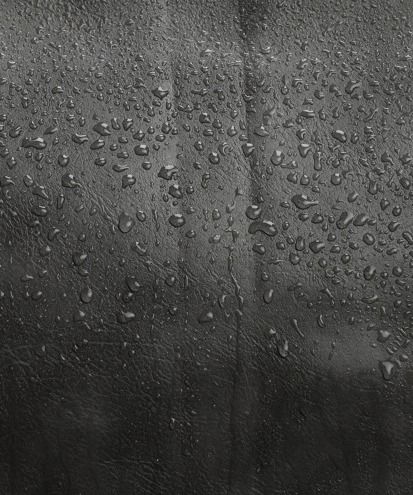 The City Dweller Backpack - Jet Black