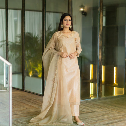 Brown Chanderi Suit Set